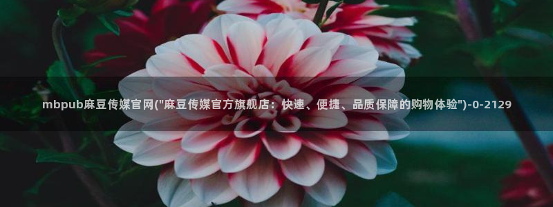 麻豆精选完整版：mbpub麻豆传媒官网(\