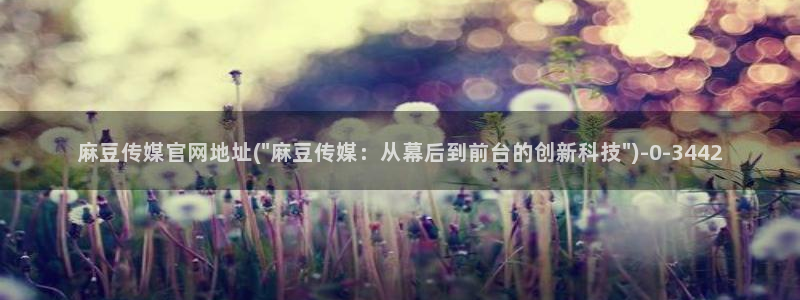 麻豆 在线看入口：麻豆传媒官网地址(\