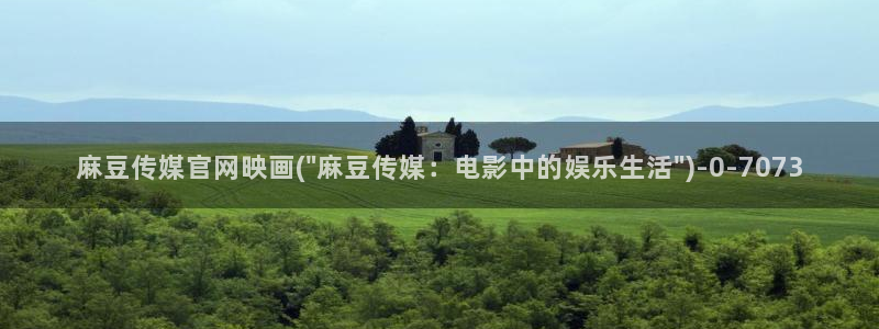 麻豆视频 精选视频：麻豆传媒官网映画(\