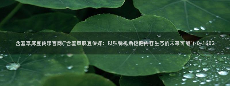 麻豆官方推荐：含羞草麻豆传媒官网(\