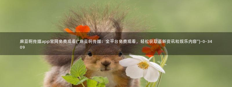 麻豆 最新合集：麻豆啊传媒app官网免费观看(\