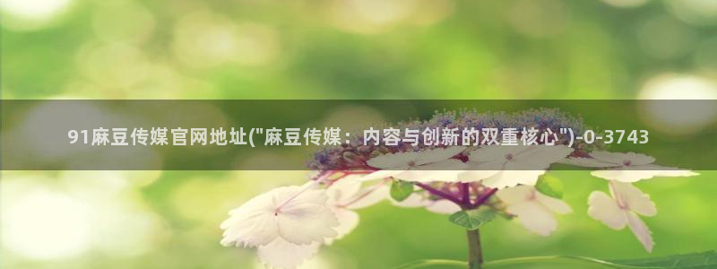 麻豆视频 内容高清：91麻豆传媒官网地址(\