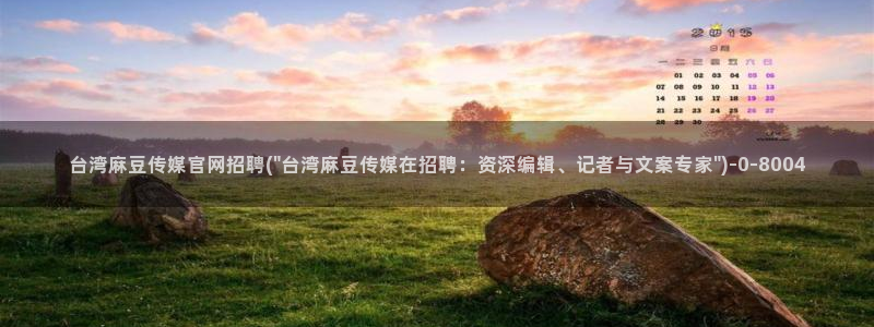 麻豆视频 精选最新：台湾麻豆传媒官网招聘(\