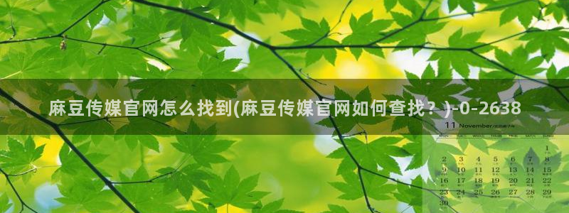 麻豆 更新下载：麻豆传媒官网怎么找到(麻豆传媒官网如何查找？)