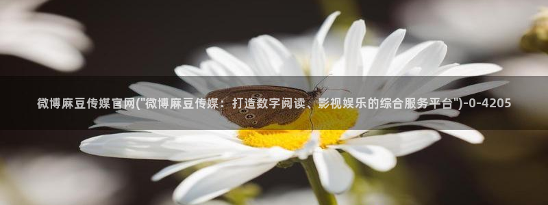 麻豆视频最新专区：微博麻豆传媒官网(\