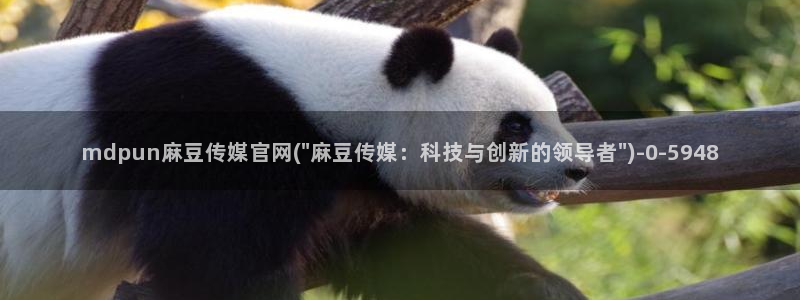 麻豆视频短片专区：mdpun麻豆传媒官网(\