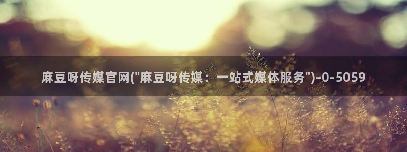 麻豆视频 下载：麻豆呀传媒官网(\