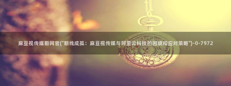 麻豆视频 最新完整版：麻豆视传媒断网官(\