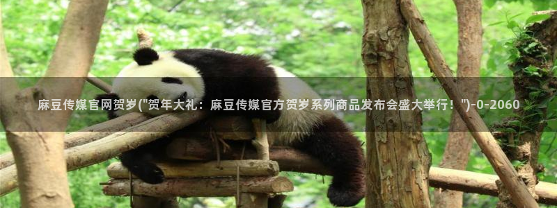 麻豆视频 最新页面：麻豆传媒官网贺岁(\