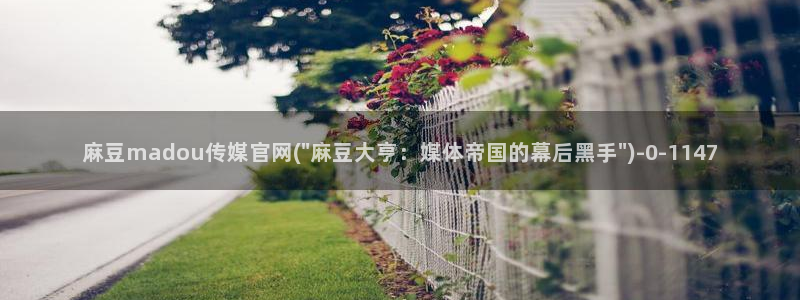 麻豆视频 完整版更新：麻豆madou传媒官网(\