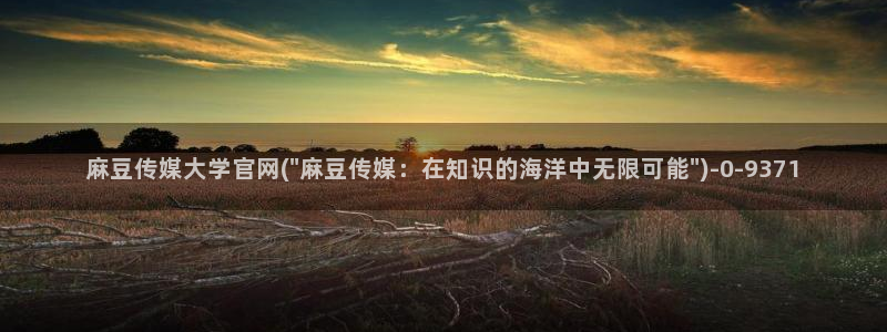 麻豆热门视频：麻豆传媒大学官网(\