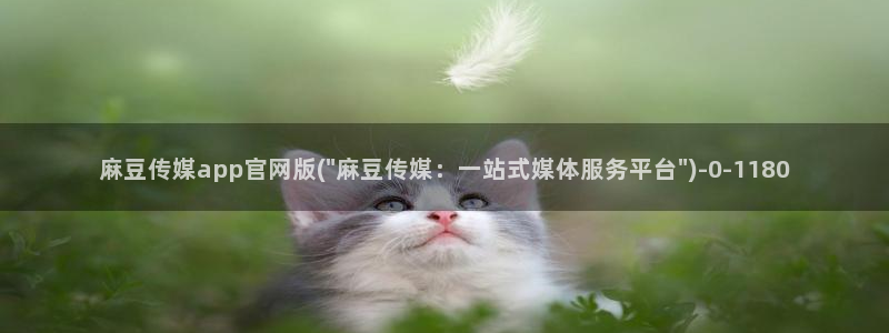 麻豆 合集