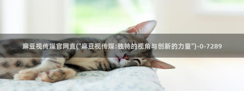 麻豆最新资源：麻豆视传媒官网直(\