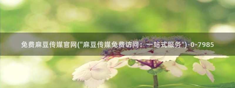 麻豆视频 站整理